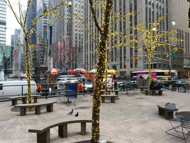 NYC_2020-02-01 14-15-01_P1090236